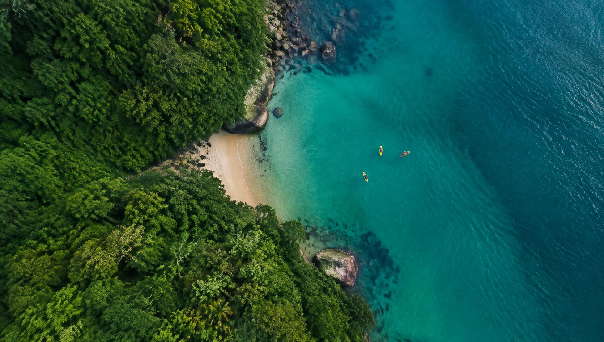 Vista aérea da Mata Atlântica e mar turquesa